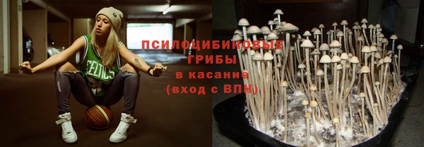 spice Алексин