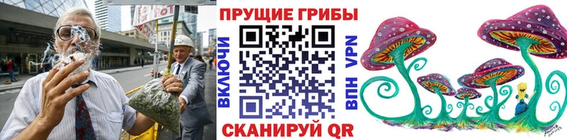 Галлюциногенные грибы ЛСД  закладка  Новочеркасск 