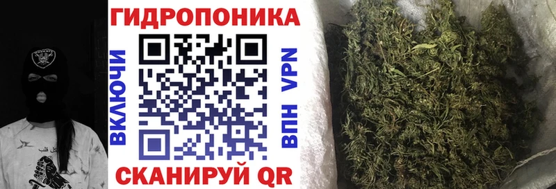 Каннабис планчик  Новочеркасск 